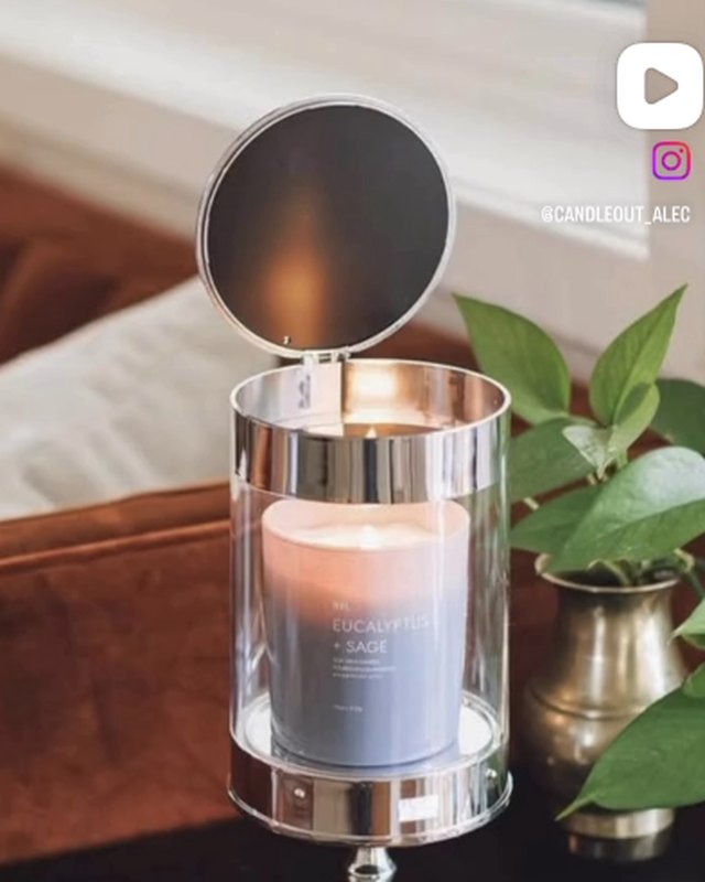 Silver Gloss ALEC with a lit candle beside a plant
