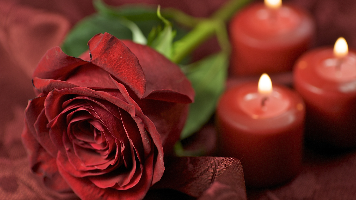 Close-up of a red rose and three glowing candles on a dark red fabric background, creating romance.